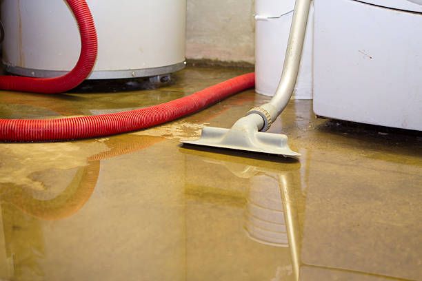 Best Professional water damage repair  in Cedar Bluff, AL